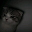 bullz ★™