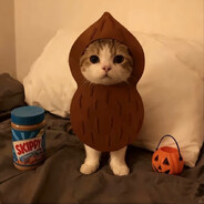 开家店叫凉瓜铺