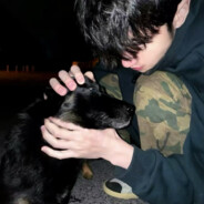 干拉报点玩手机