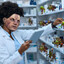 farmacist