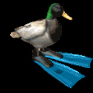 gav