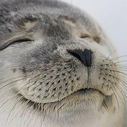 Seal of Approval