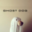 GhostDog