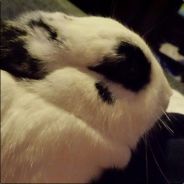Zlurf - steam id 76561197965817886
