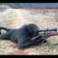 Sniper Ape