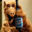 ALF