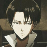 Levi