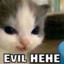 hehe