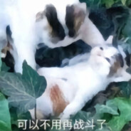 孙笑川拷打蔡徐坤