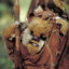 ewok