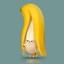 NaKuReNi BAnAN