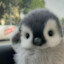 s0mTR