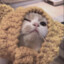 AICHIYUDEMAO