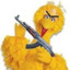 Big Bird