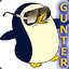 Gunter The MF Penguin