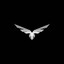 Eagle 𓅃