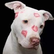 法外狂徒张三。