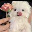 care