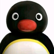 pingu.