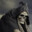 Atrocittus