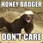 Angry_Badger