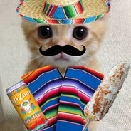 Mexican cat
