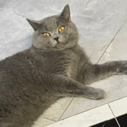 牛爷爷的神秘花园