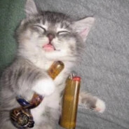 Молоко с ганжей