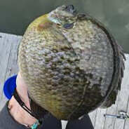 Bluegigi - steam id 76561198413098346