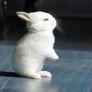 ？？？？？？？？？？？