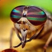 铁布衫金钟罩横练十三太保