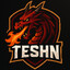 Teshn