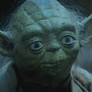 yoda dog