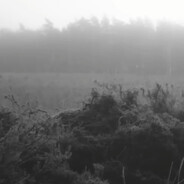 bliss - steam id 76561199050587420