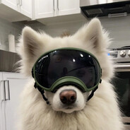 bolonez_ - steam id 76561198273448102