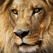 开挂者必得前列腺炎