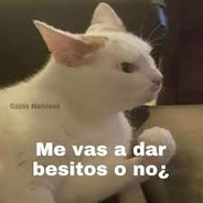 benswordxd avatar