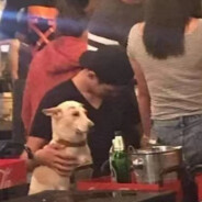 不吃饭会饿死的