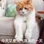 为什么要上班