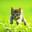 𝐢𝐧𝐟𝐞𝐫𝐭𝐢𝐥𝐞𝟎𝟐 ฅ^>⩊<^ฅ