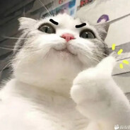 人活着就是为了麻衣桑