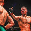 nate diaz