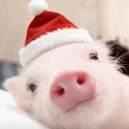 全世界倒数第一爱欧巴