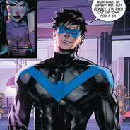 nightwing avatar