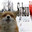 i believe in fox supremacy.