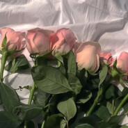 灌热水的大橙子