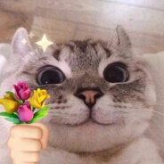 Галанино-Деревня