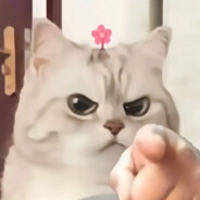 喜欢倒地但更喜欢导