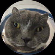 天才少年徐必成