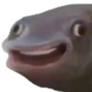 忍不住化身一条固执的